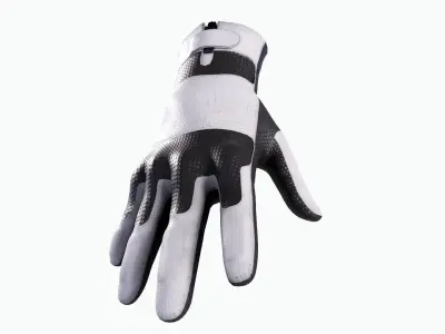 Motorcycle Gloves Low-poly 3D model