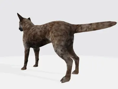 Dingo australian cattle dog 3D model