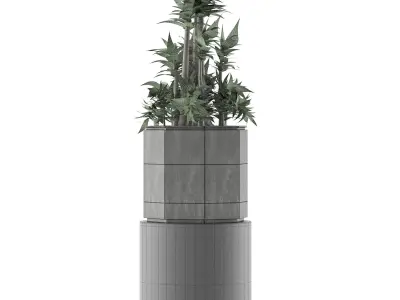 House Plant 20 3D model