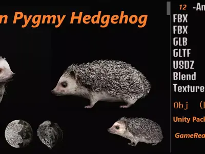 African Pygmy Hedgehog Low-poly 3D model