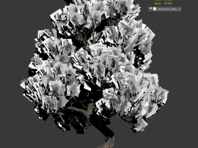 Decorative pine v3 Low-poly 3D model