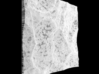 514-RockPanel piece of rock on wall 3D model