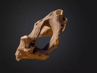 Twisted Driftwood Arch Low-poly 3D model