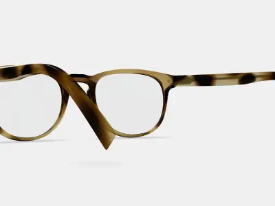 Baker Eyeglasses in Striped Sassafras 3D model