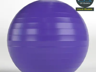 Fitball exercise ball 3D model