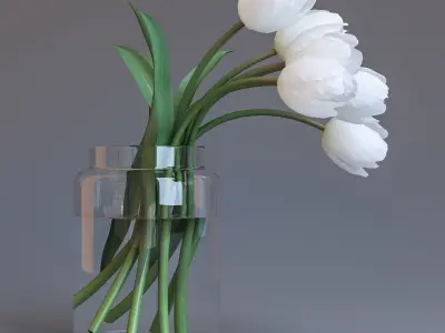 White tulips 3D model