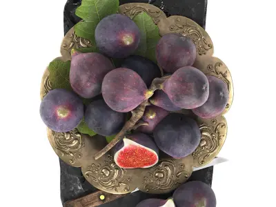 plate of figs fruit 3D model