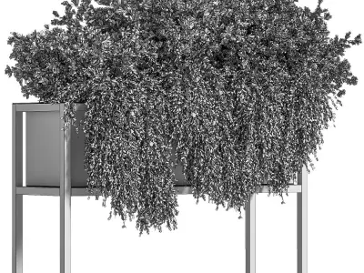 indoor plant set 07 3D model