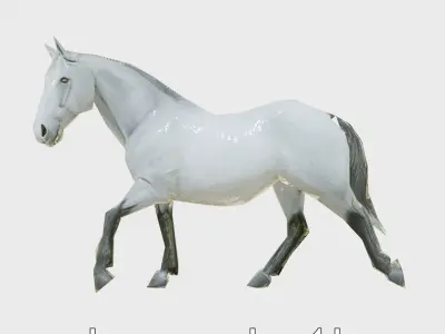 Regal Gray Percheron Horse 3D Model Low-poly 3D model