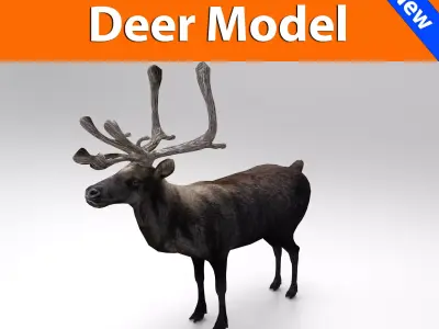 3D Reindeer low poly Low-poly 3D model