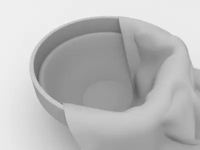 Cloth In Bowl 3D model