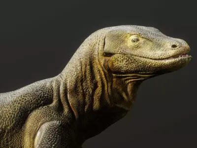 Komodo Dragon  3D model