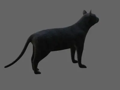 Black Cat - Low and High Detail - Gato Preto Low-poly 3D model