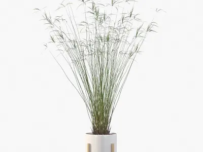 Plants collection 046 3D model