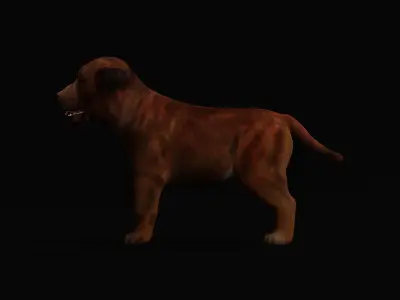 Labrador Retriever Puppy Dog Low-poly 3D model