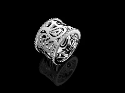 Ring 55 3D print model