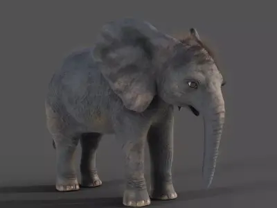 Fur Baby Elephant NO Rigged in Blender Low-poly 3D model