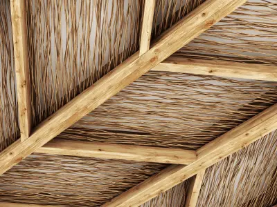 Ceiling branch thin angle n1 3D model