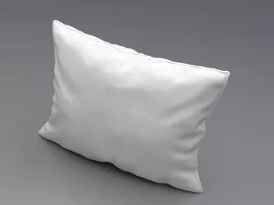 Piped Pillow 3 3D model