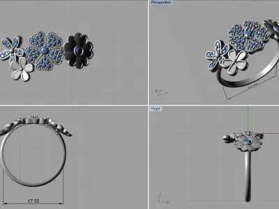 Ring with enamel ready for 3d print 3D print model