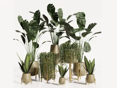 INDOOR PLANT SET01 3D model