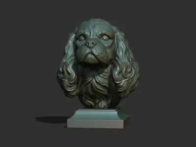 Spaniel Cavalier King Charles bust 3D print model