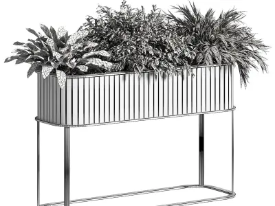 Indoor Plant Set 15 3D model