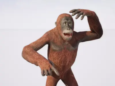 Orangutan 3D model