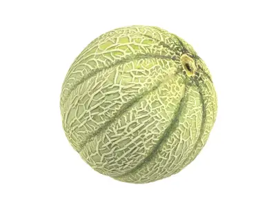 Photorealistic Charentais Melon 3D Scan 3D model