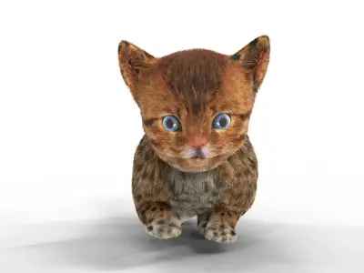 Cute kitten Fur Animated 02 Low-poly 3D model
