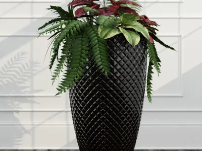 Room plants 3D model