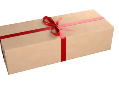 Wrapped Gift Box PBR 08 3D model
