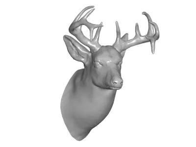 Deer head 3D model