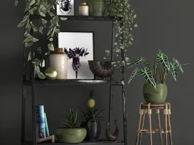 50 Plant Pack  Vol 2 3D model