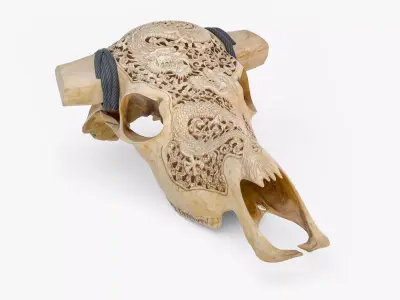 Cow Skull with Dragon Carved 3D 3D model