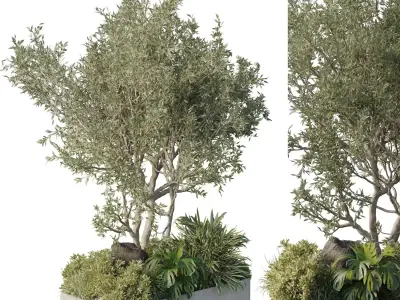 Stand plant in box garden - outdoor plant 178  Low-poly 3D model