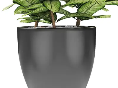 Plant in Pot Flowerpot Exotic Plant 3D model 17