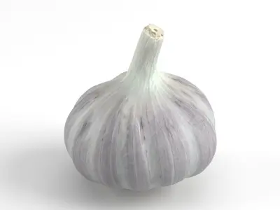 Photorealistic Garlic 3D Scan 3D model