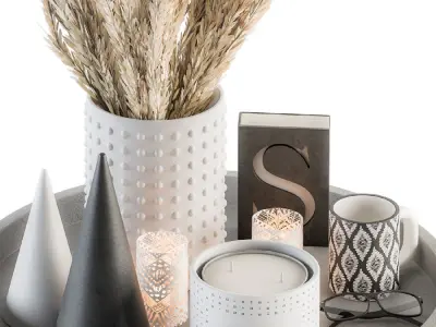 Decorative Set Dried Plants and Pampas - Set 53 3D model