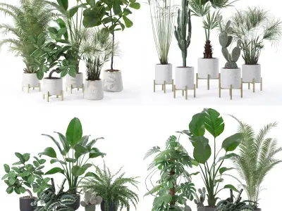 20 Photorealistic Flowers for Interiors - set 120 123 136 140 3D Model Collection