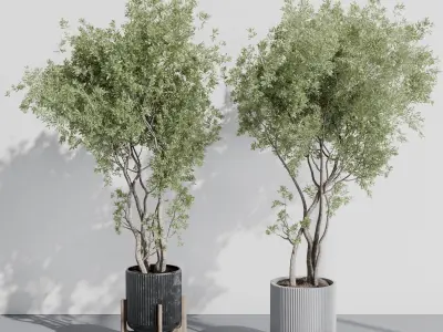 indoor plant set 387 plant tree palm bush concrete dirt vase Low-poly 3D model