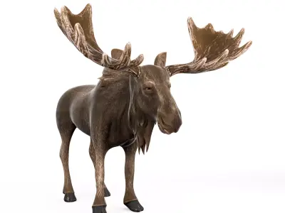 Moose cartoon rigged 3D model