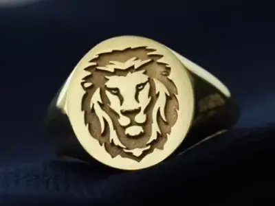 South style lion ring  rhino matrix  3D print model