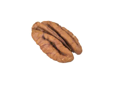 Photorealistic Pecan Nut 3D Scan 3D model