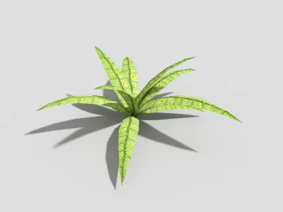 Low poly Plant Low-poly 3D model