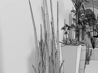 Indoor Decorative Plants Collection 3D model