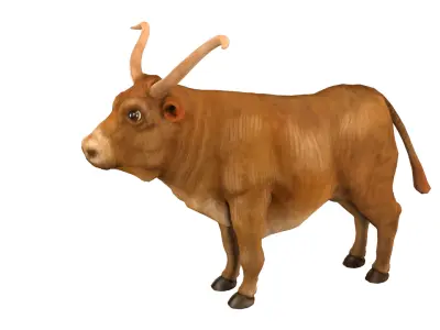 bull  rig  high-poly  textured 3D model