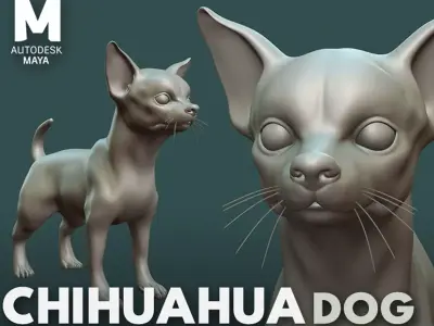 Chihuahua Dog  3D model