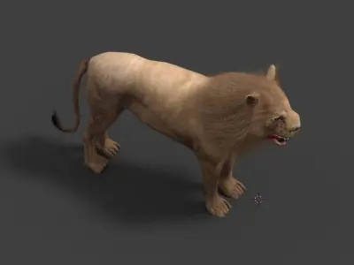 low poly Lion 3D model