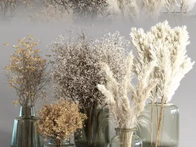 Collection Dry Plants Bouquet Indoor 09 3D model